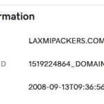 WHOIS domain lookup details showing ownership of laxmipackers.com